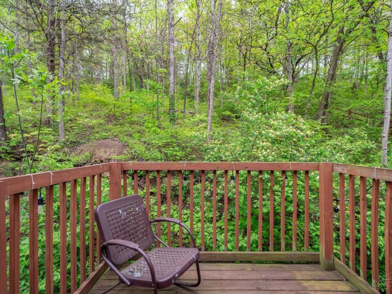 10584 New Biddinger Road, Harrison Twp, OH 45030 Photo 45