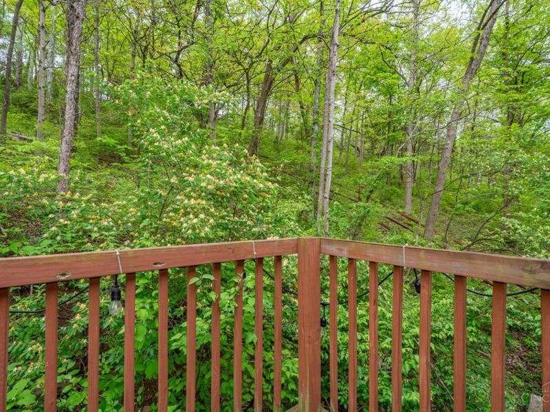 10584 New Biddinger Road, Harrison Twp, OH 45030 Photo 46