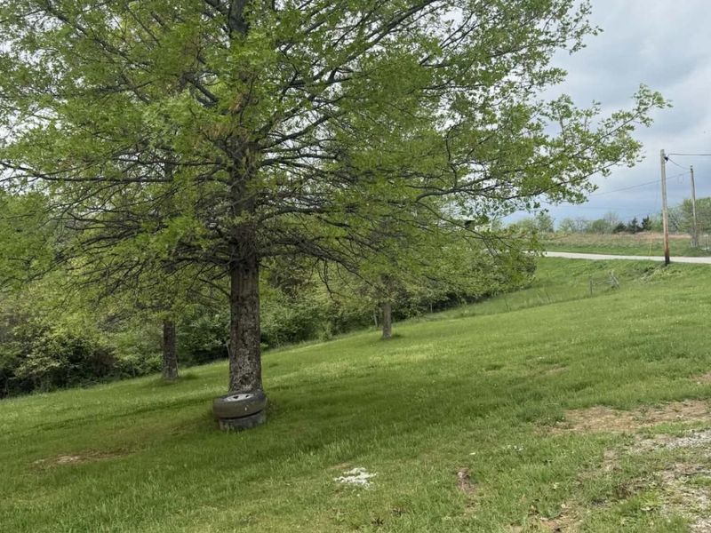 1692 Hogg Ridge Road, Williamstown, KY 41097 Photo 3