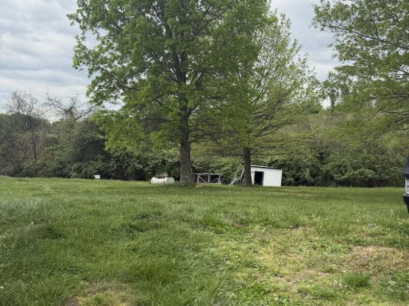 1692 Hogg Ridge Road, Williamstown, KY 41097 Photo 4