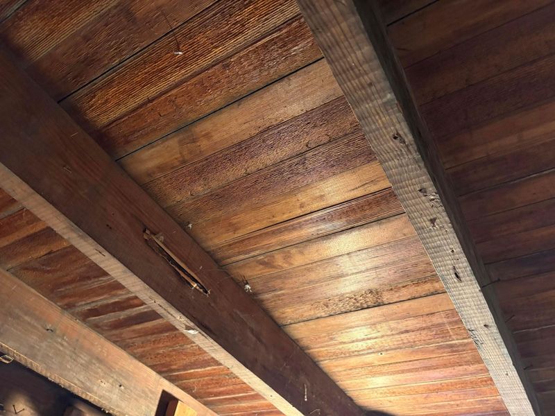 239 N Hague Avenue , Columbus, OH 43204 Photo 15