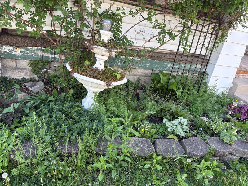 239 N Hague Avenue , Columbus, OH 43204 Photo 3