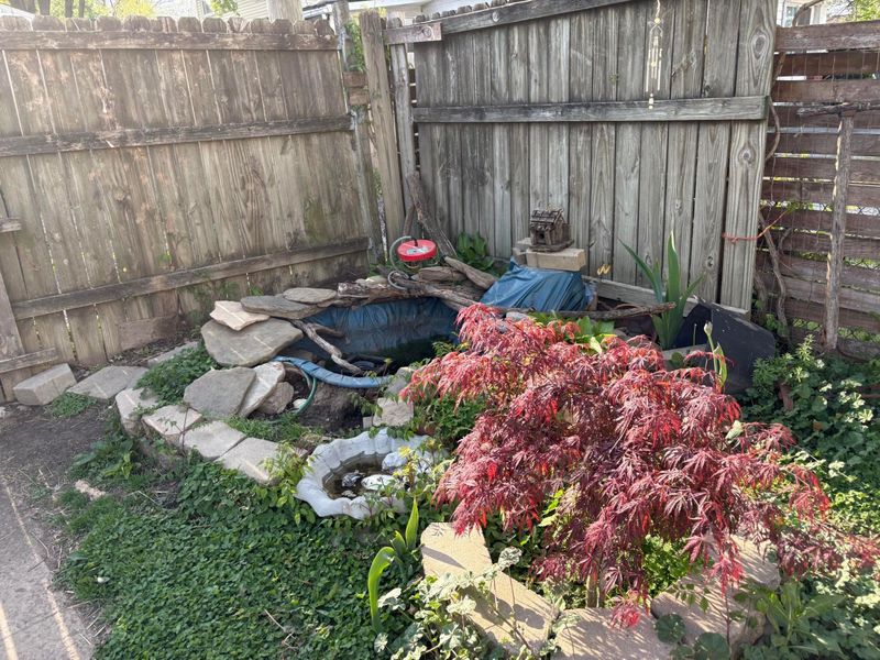 239 N Hague Avenue , Columbus, OH 43204 Photo 9