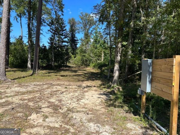 0 Dead River Rd Lots #25, 26, 27, 32, Uvalda, GA 30473