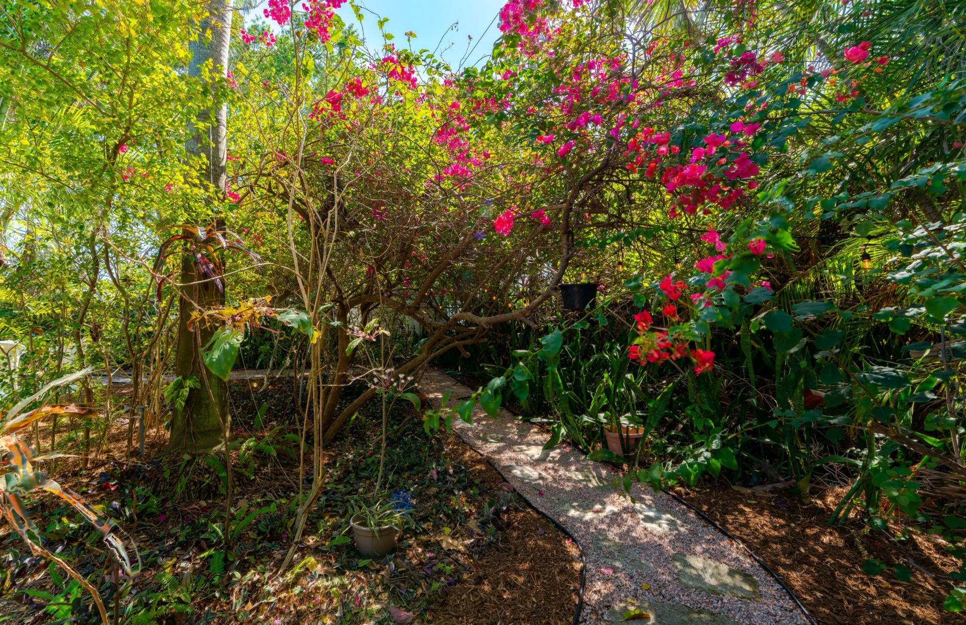 323 Pinewood Street, Lantana, FL 33462 Photo