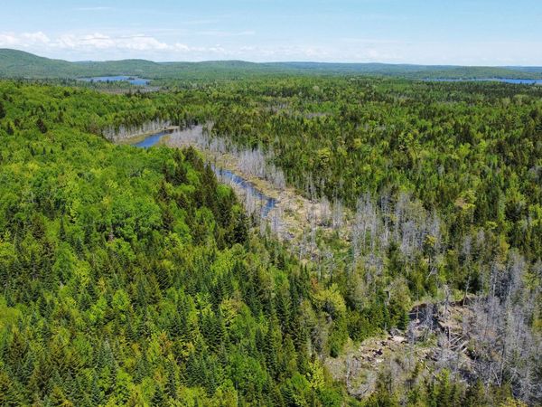 Lot 10 Morrison Brook Acres, Oakfield, ME 04763