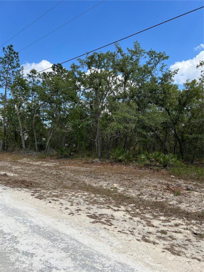 Sage Thrasher Ave, Weeki Wachee, FL 34614 Photo