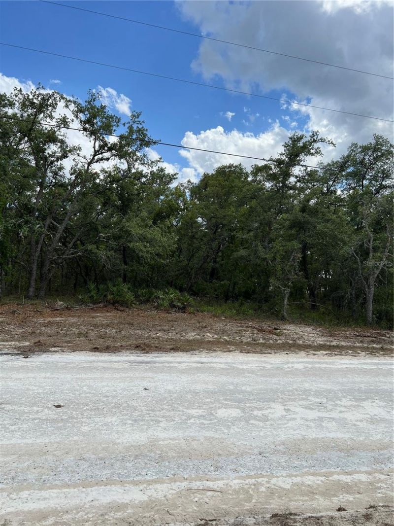 Sage Thrasher Ave, Weeki Wachee, FL 34614 Photo
