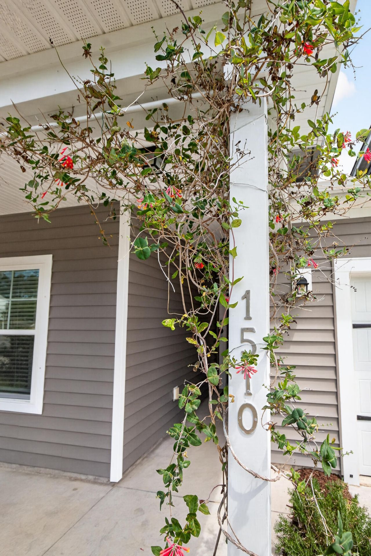 1510 Dawn Mist Way Photo 9