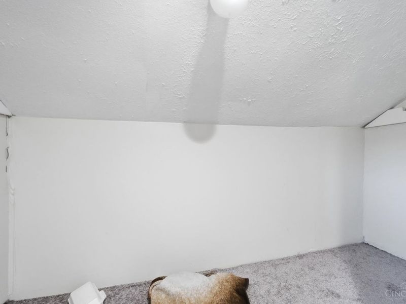 1743 Baltimore Avenue, Cincinnati, OH 45225 Photo 60