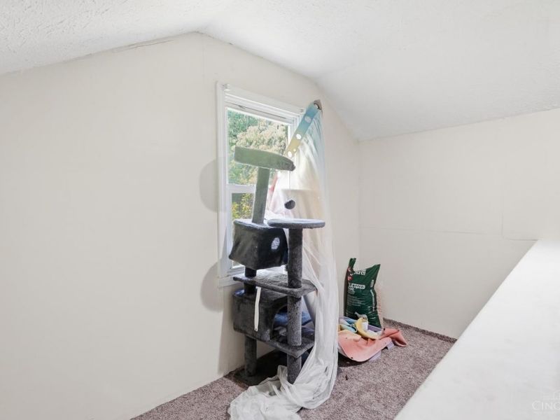 1743 Baltimore Avenue, Cincinnati, OH 45225 Photo 62