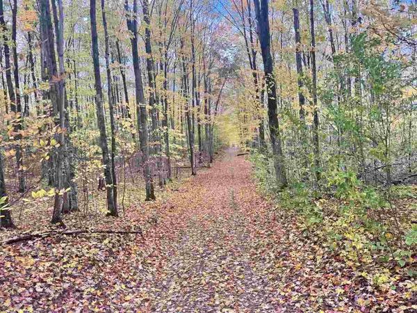TBD Stark Road, Mancelona, MI 49659