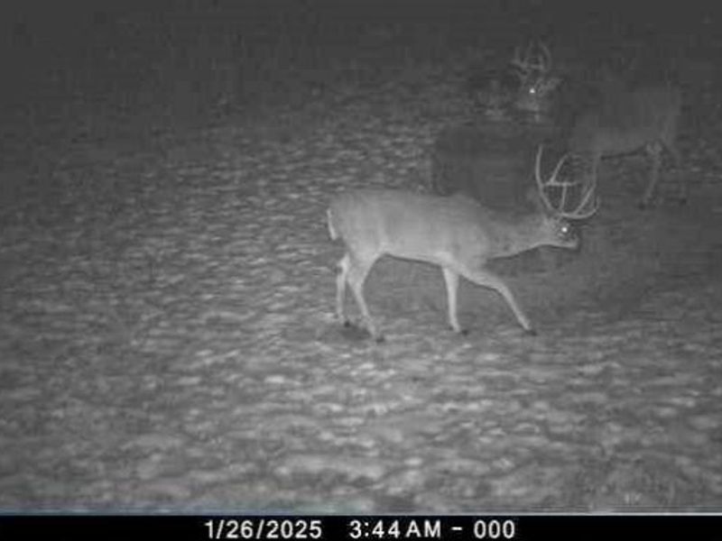 3725 N River Road E, Zanesville, OH 43701 Photo 13