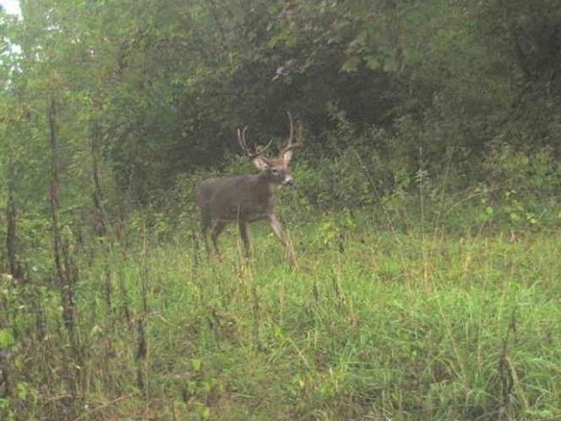 3725 N River Road E, Zanesville, OH 43701 Photo 3