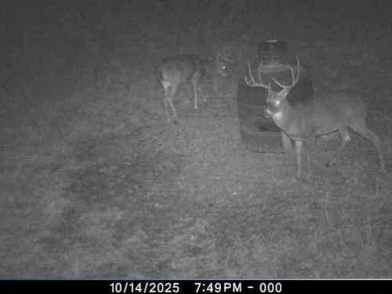 3725 N River Road E, Zanesville, OH 43701 Photo 7