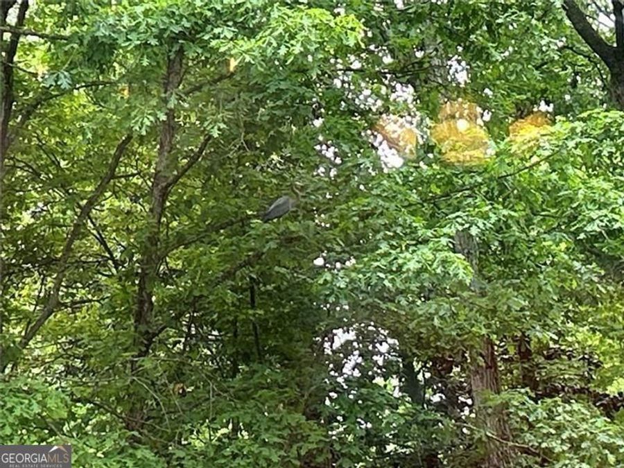 Property Image 69