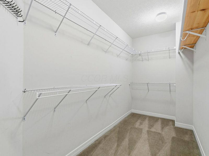 6252 Tallowtree Drive, Hilliard, OH 43026 Photo 39