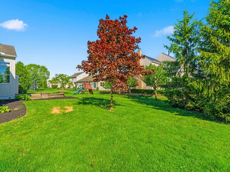 6252 Tallowtree Drive, Hilliard, OH 43026 Photo 63