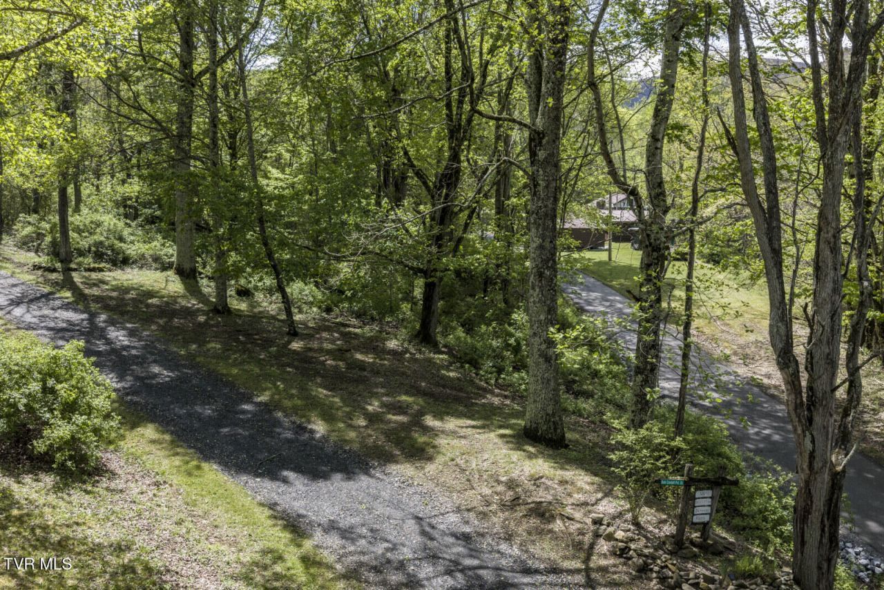 0 Heaton Creek Road, Roan Mountain, TN 37687 Main Photo