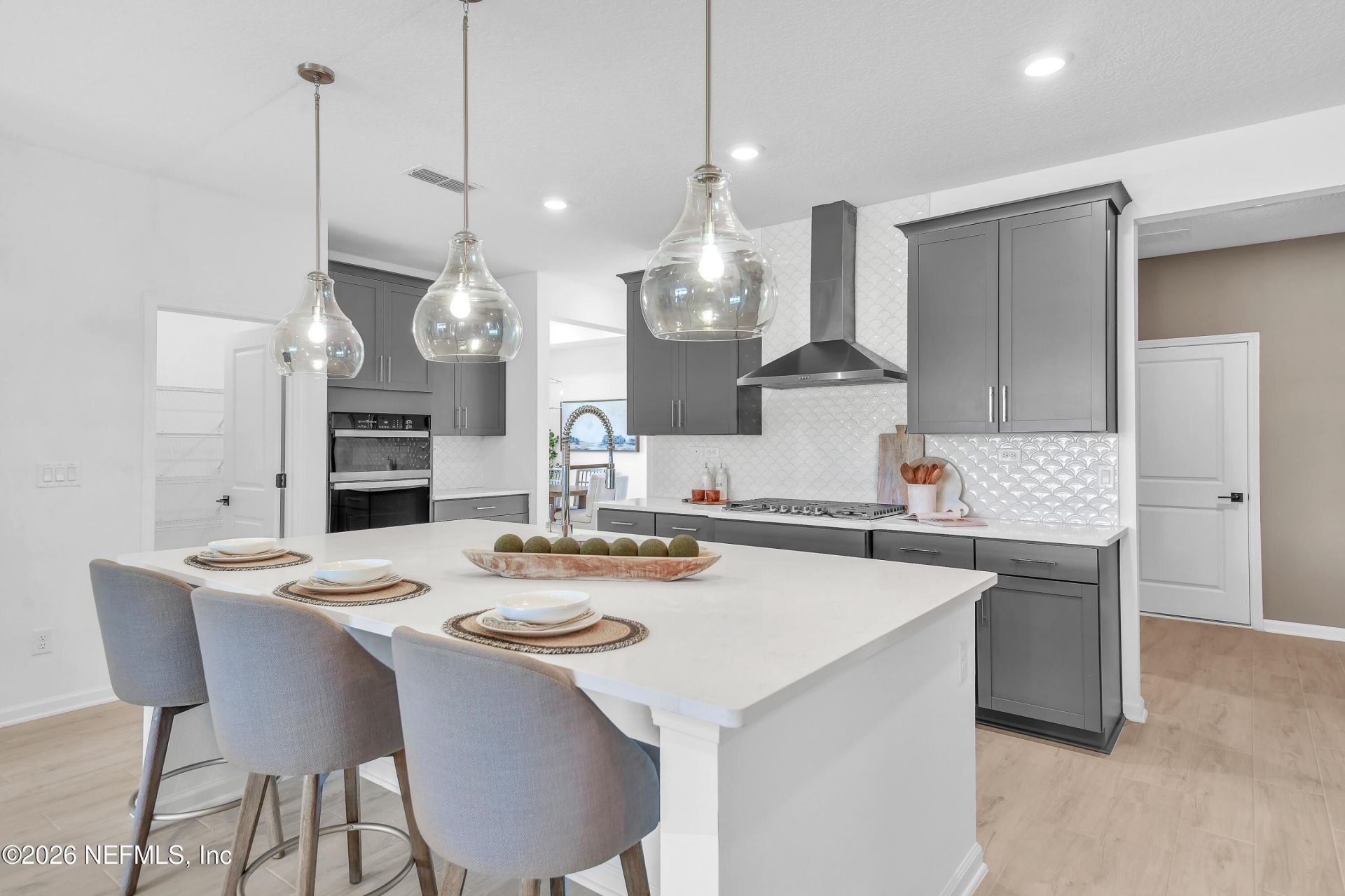 2258 Palisade Point, Middleburg, FL 32068 Photo