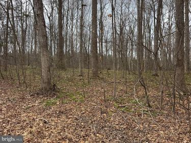 Lot 7 HARNESS LN, LOUISA, VA 23093