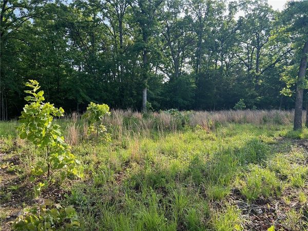 TBD Diamond Point Boulevard, Diamond City, AR 72630