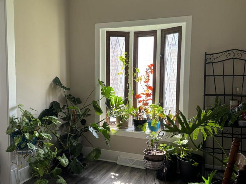 131 Whittlesey Avenue, Norwalk, OH 44857 Photo 8