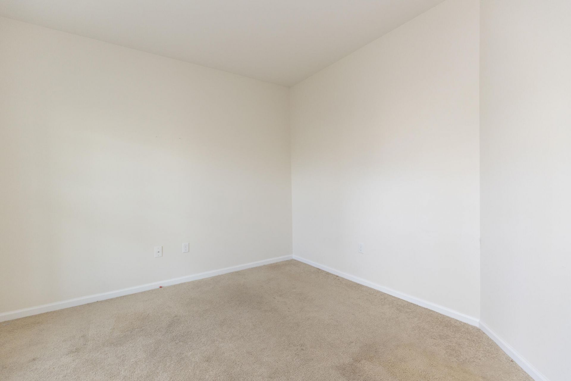 984 Augustine Court Photo 10