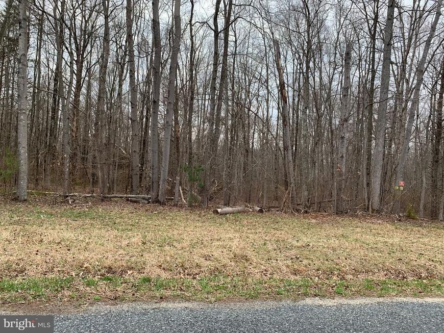 Black Bottom Road, Galena, MD 21635 Main Photo
