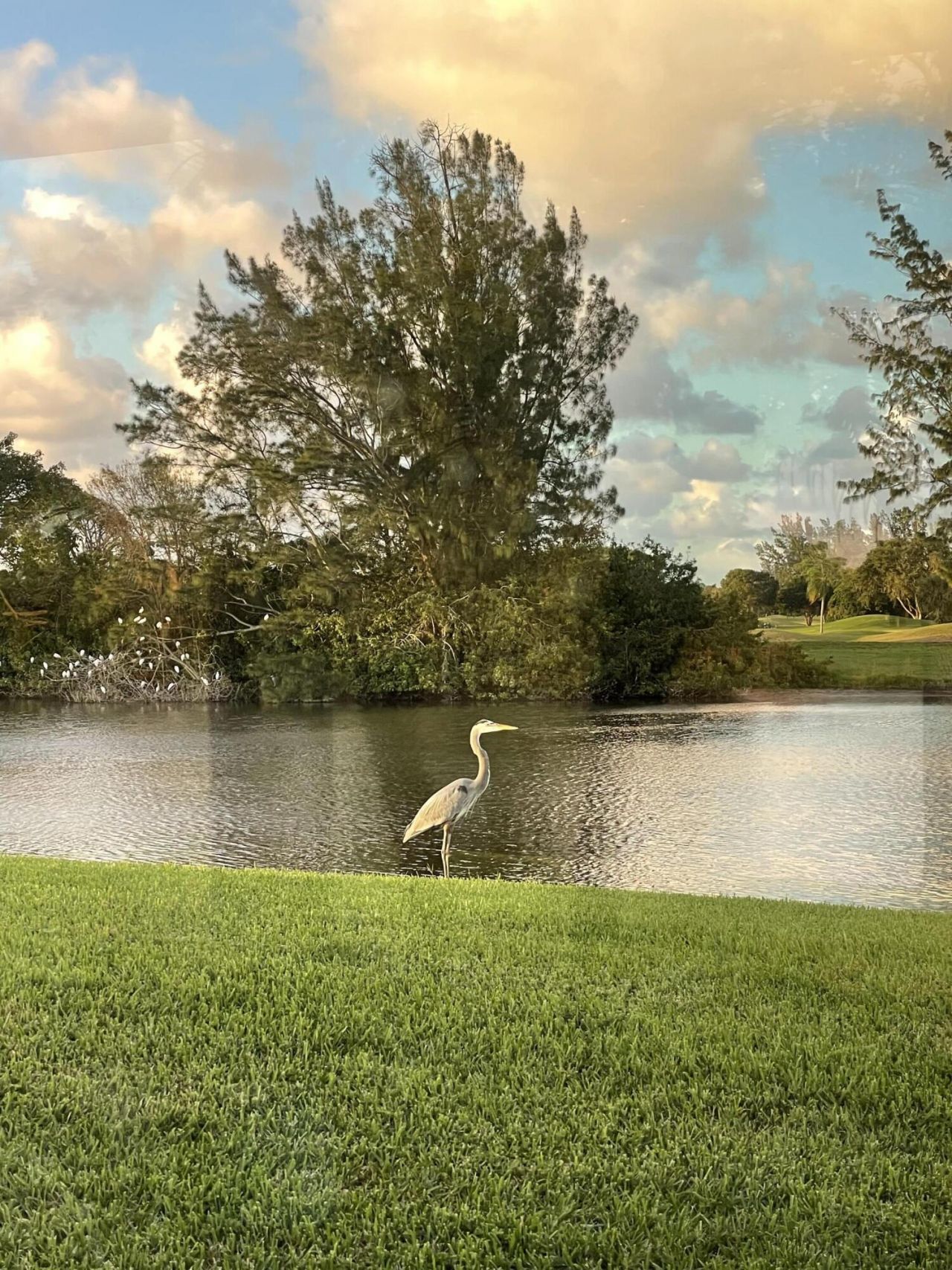 5558 Parkwalk Circle E, Boynton Beach, FL 33472 Photo