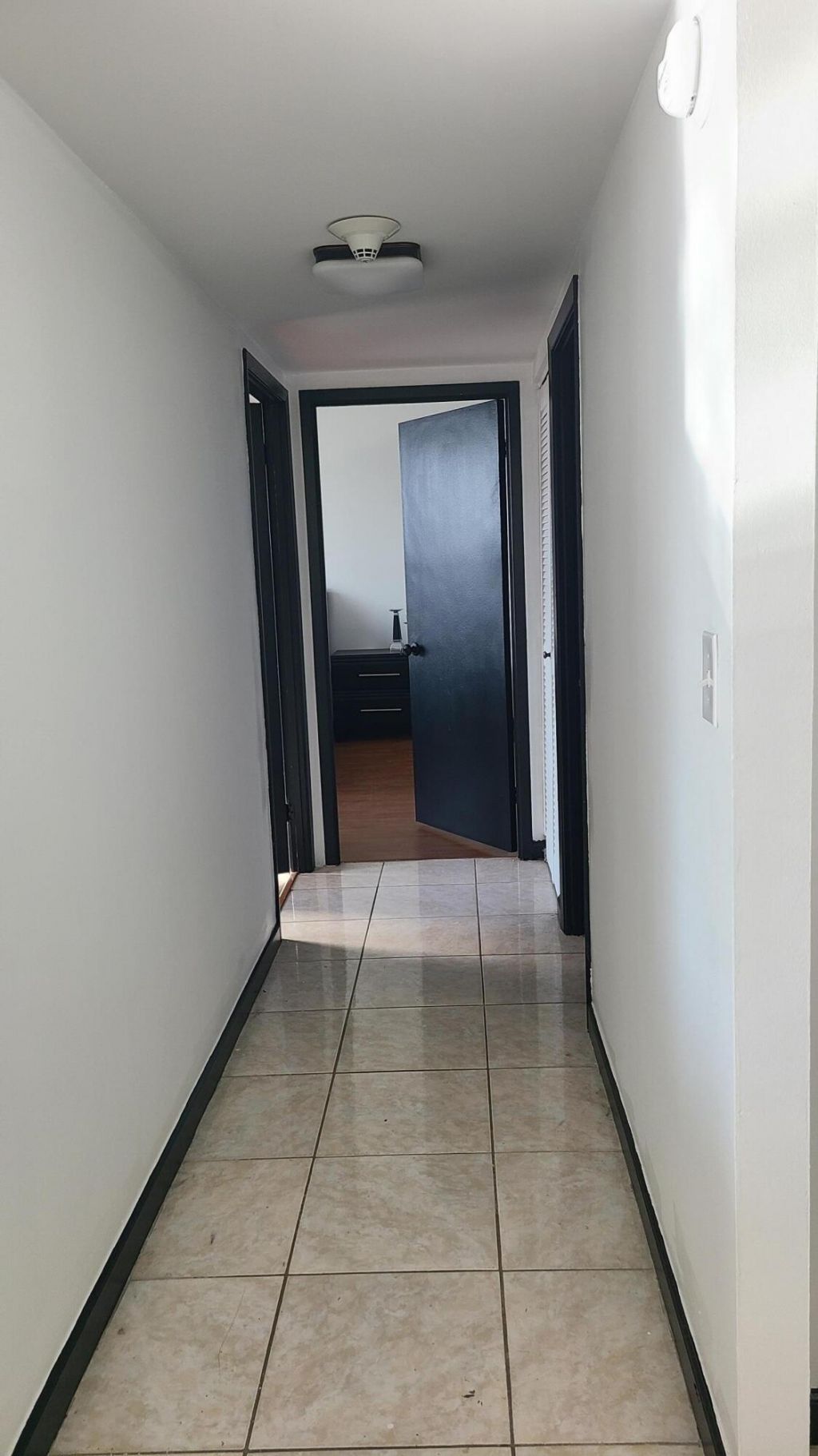 2500 Parkview Drive, Unit 802, Hallandale Beach, FL 33009 Photo