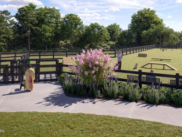 6209 REIN Avenue, Jacksonville, FL 32219