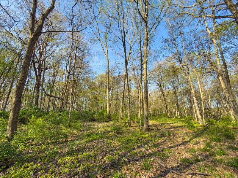 9874 Cincinnati Zanesville Road SW, Amanda, OH 43102 Photo 15