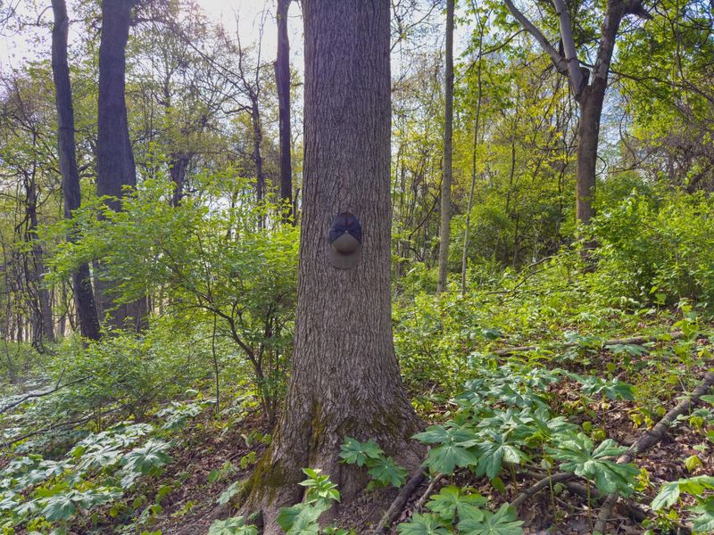 9874 Cincinnati Zanesville Road SW, Amanda, OH 43102 Photo 16