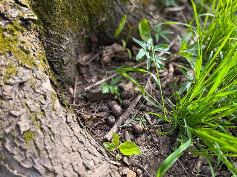 9874 Cincinnati Zanesville Road SW, Amanda, OH 43102 Photo 17