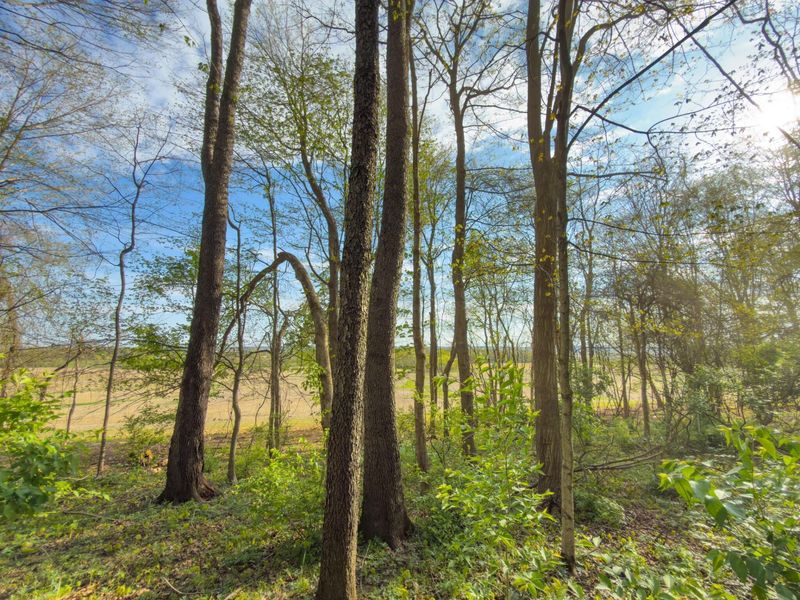 9874 Cincinnati Zanesville Road SW, Amanda, OH 43102 Photo 18