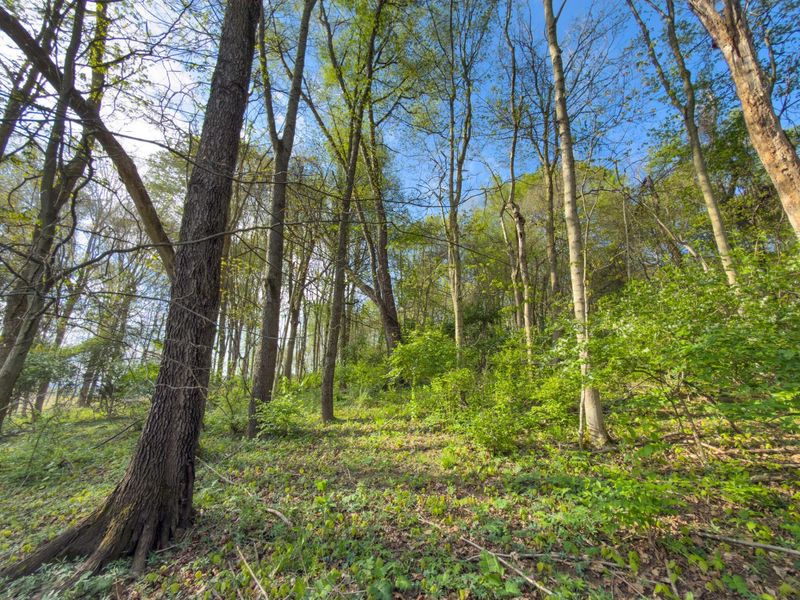 9874 Cincinnati Zanesville Road SW, Amanda, OH 43102 Photo 19