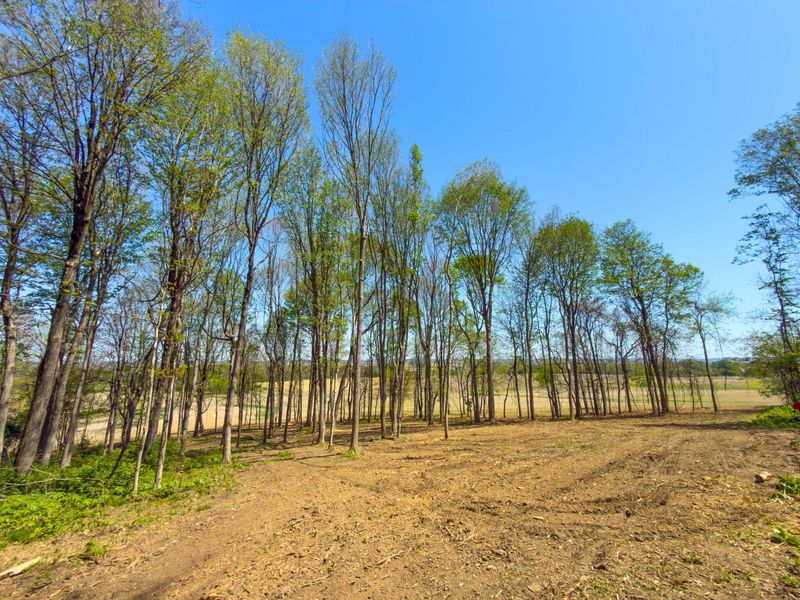 9874 Cincinnati Zanesville Road SW, Amanda, OH 43102 Photo 2