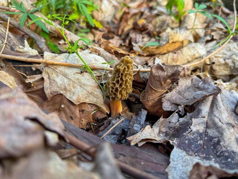 9874 Cincinnati Zanesville Road SW, Amanda, OH 43102 Photo 20