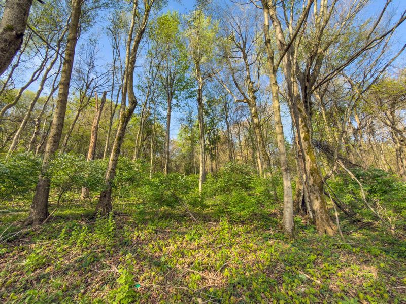 9874 Cincinnati Zanesville Road SW, Amanda, OH 43102 Photo 21