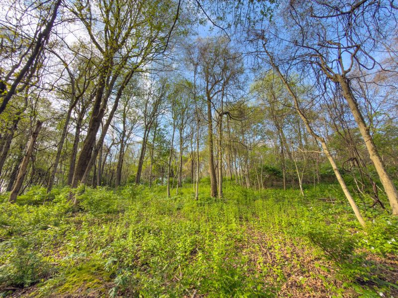 9874 Cincinnati Zanesville Road SW, Amanda, OH 43102 Photo 22