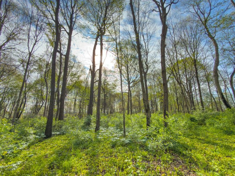 9874 Cincinnati Zanesville Road SW, Amanda, OH 43102 Photo 23