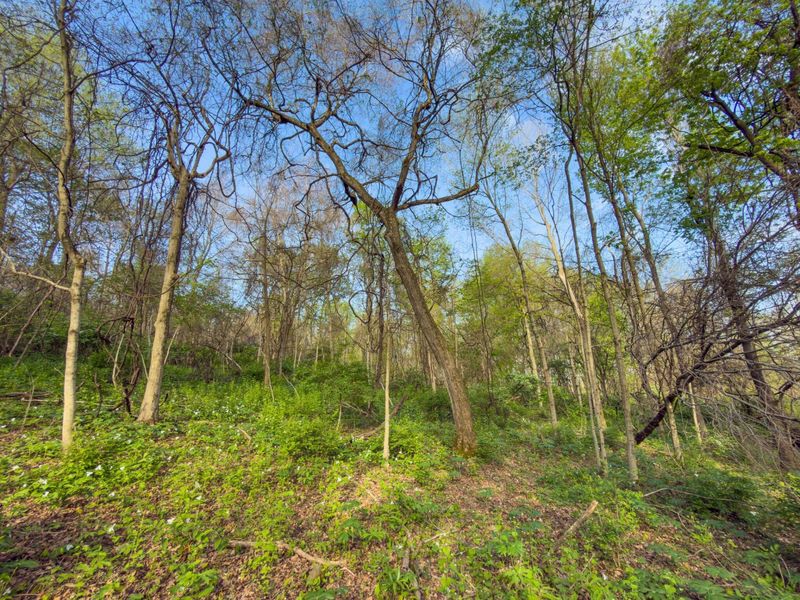 9874 Cincinnati Zanesville Road SW, Amanda, OH 43102 Photo 24