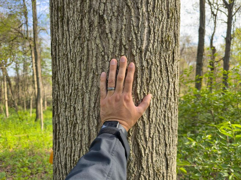 9874 Cincinnati Zanesville Road SW, Amanda, OH 43102 Photo 25