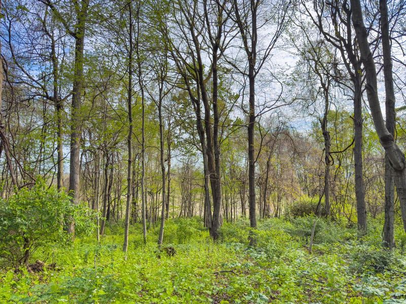 9874 Cincinnati Zanesville Road SW, Amanda, OH 43102 Photo 26