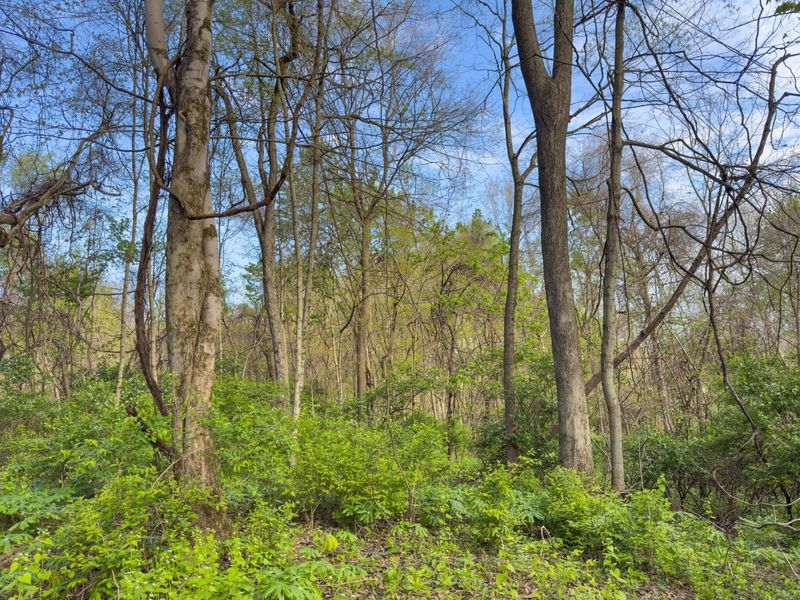 9874 Cincinnati Zanesville Road SW, Amanda, OH 43102 Photo 27