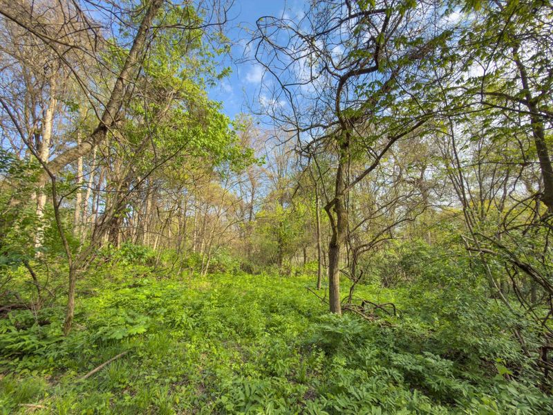 9874 Cincinnati Zanesville Road SW, Amanda, OH 43102 Photo 28