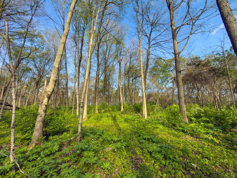 9874 Cincinnati Zanesville Road SW, Amanda, OH 43102 Photo 29