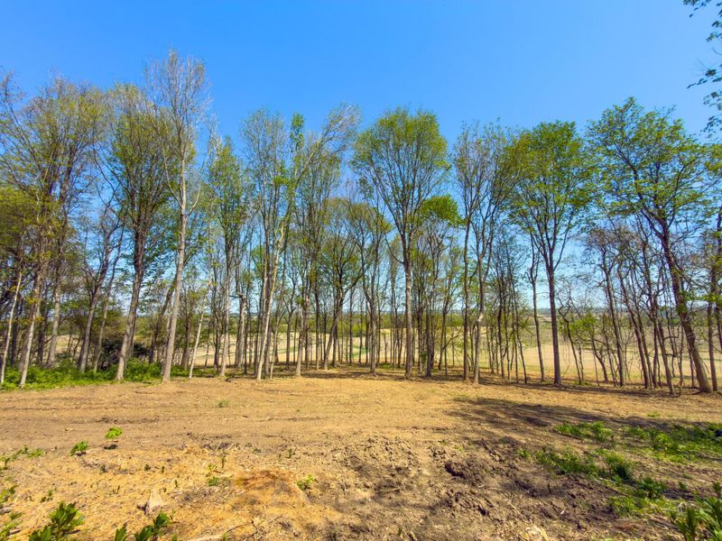 9874 Cincinnati Zanesville Road SW, Amanda, OH 43102 Photo 3