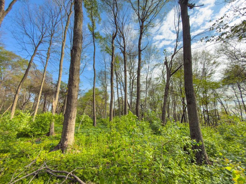 9874 Cincinnati Zanesville Road SW, Amanda, OH 43102 Photo 30